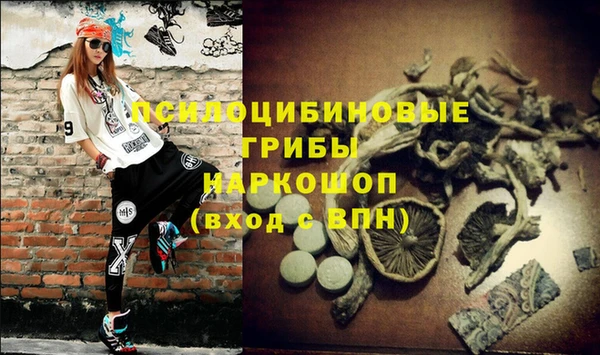 спайс Липки