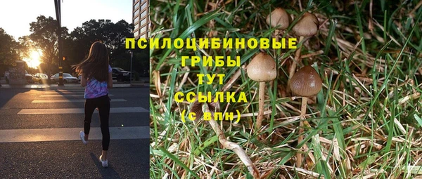 спайс Липки