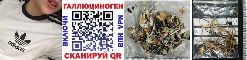 где можно купить наркотик  Кумертау  Псилоцибиновые грибы прущие грибы 