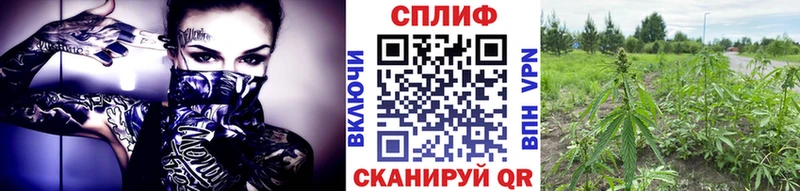 Каннабис конопля Кумертау